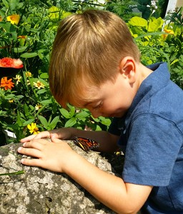 Asher with butterfly (Medium)