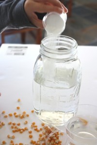 Photo Credit: Little Bins for Little Hands