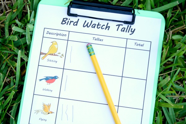 Outdoor-Activity-Bird-Watch-with-Free-Printable fantastic fun and learning