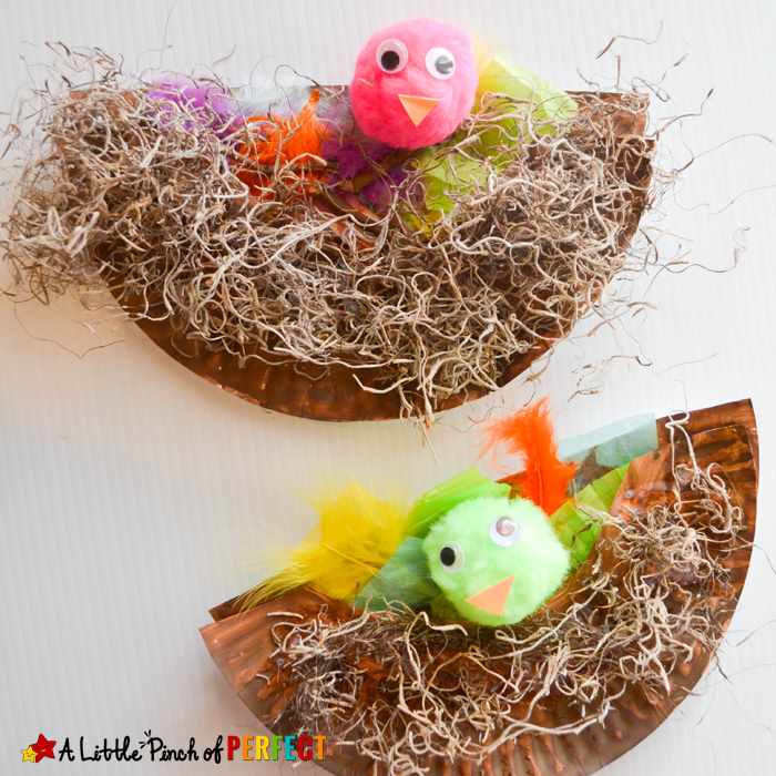 Paper-Plate-Bird-Nest-Craft_A-Little-Pinch-of-Perfect-