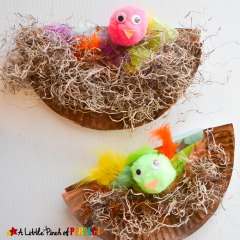 Bird Nest Craft