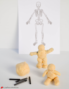 a little pinch of perfect skeleton playdough activity