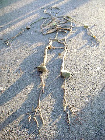 creative star learning making skeletons using sticks