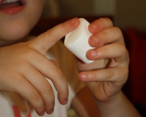 fantastic fun and learning exploring marshmallows with the five senses