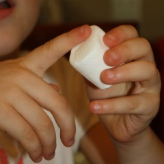 The Five Senses: Marshmallow Exploration