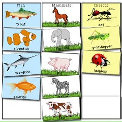 Classifying Animals