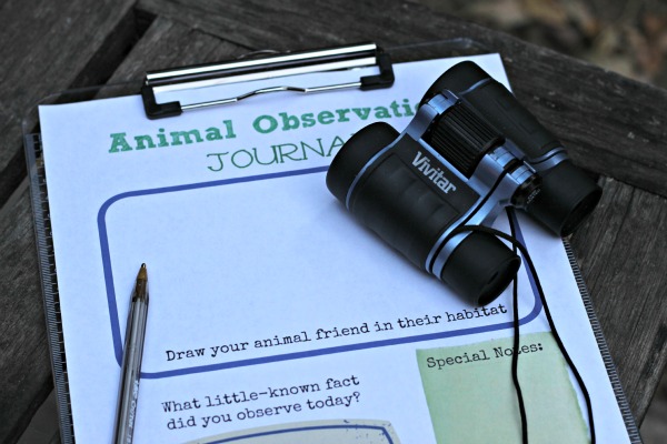 animal observation activities for teaching a child to focus and listen edventures with kids