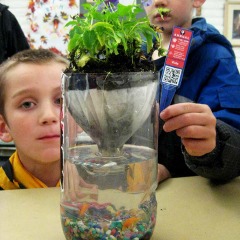 Soda Bottle Ecosystems