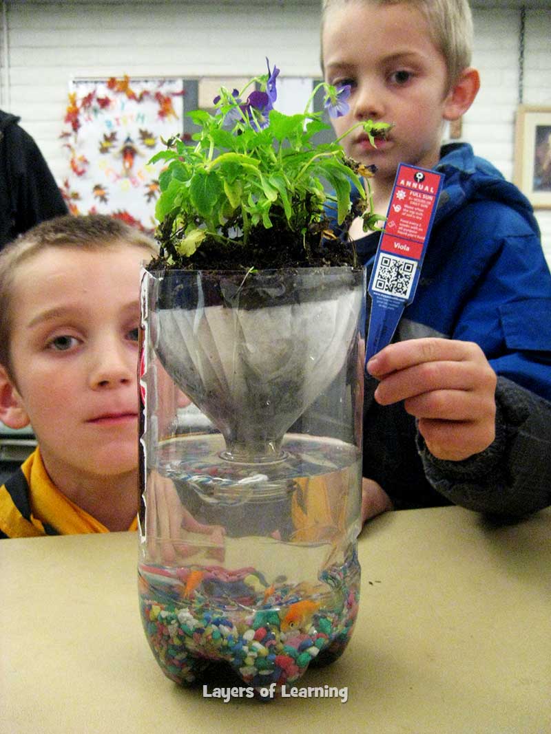 pop_bottle_ecosystem_layers of learning