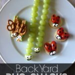 Back-Yard-Bug-Snacks