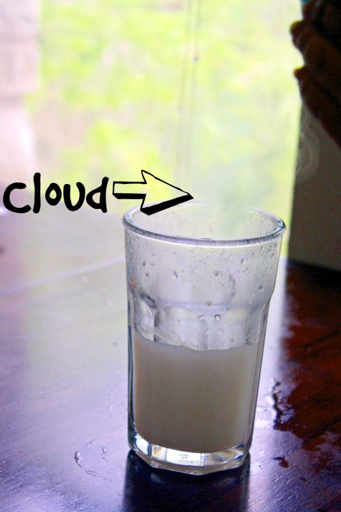 cloud in a cup parenting chaos