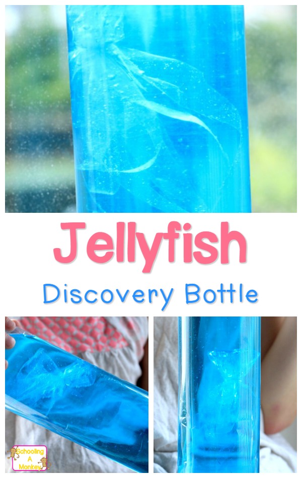 jellyfish discovery bottle