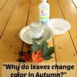 A science experiment to learn why leaves change color in the fall