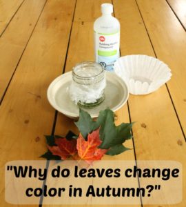 Why Do Leaves Change Color?