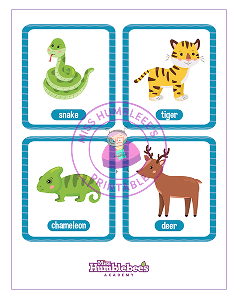 Animal Flashcards - 8