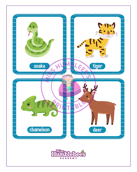 Animal Flashcards - 8