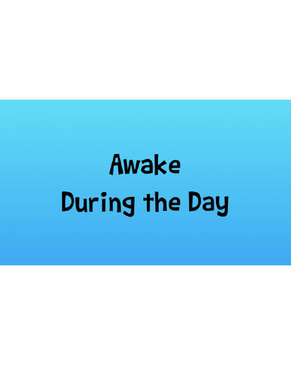 Awake During the Day
