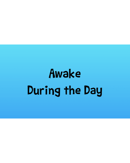 Awake During the Day