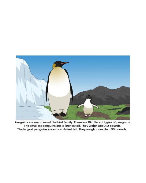 About Penguins
