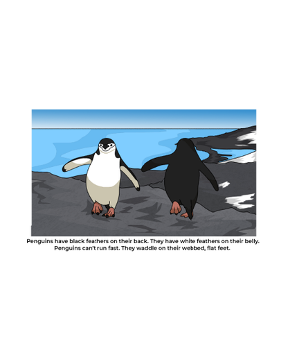 About Penguins