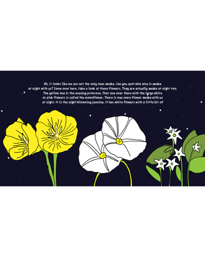 Awake During the Night