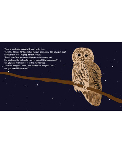 Awake During the Night