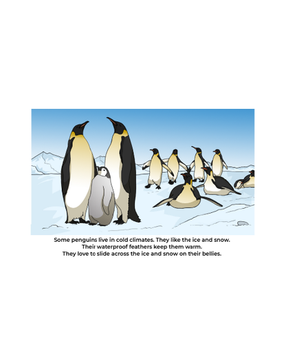 About Penguins