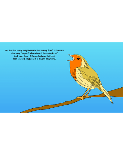 Awake During the Day