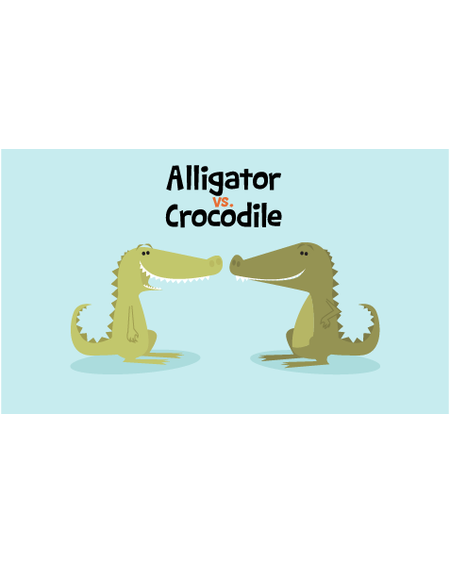 Alligator vs. Crocodile