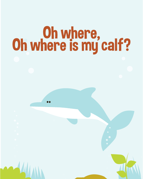 Oh, Where, Oh, Where Is My Calf?