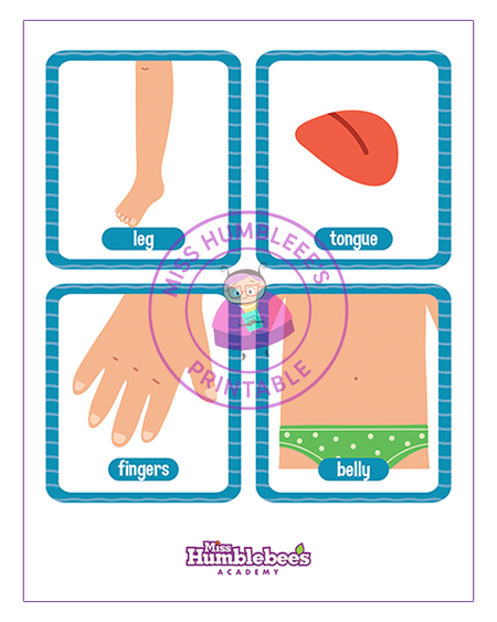 Body parts Flashcards - 2