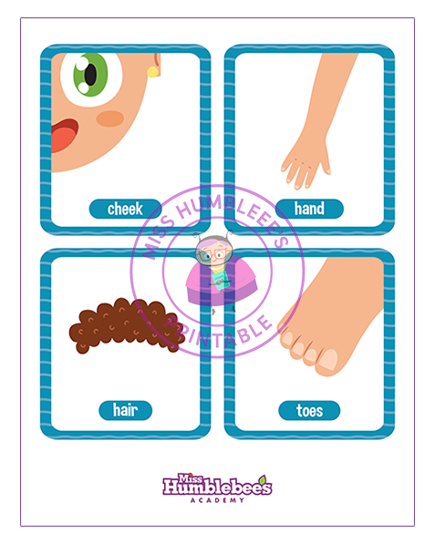 Body parts Flashcards - 1