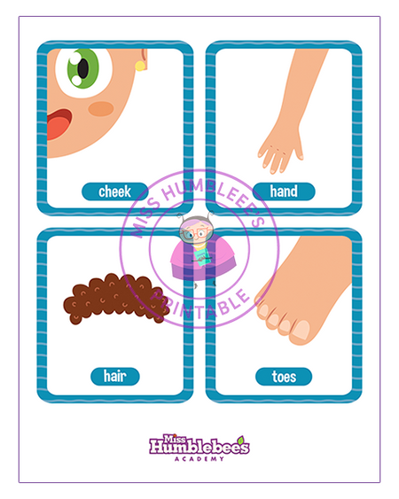 Body parts Flashcards - 1