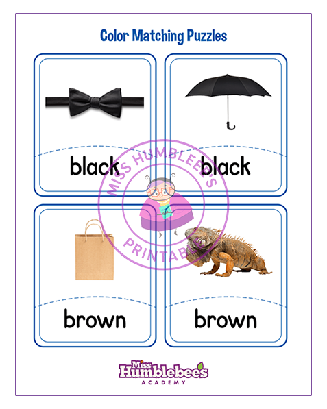 Color Matching Puzzles 5 – Miss Humblebee's Academy