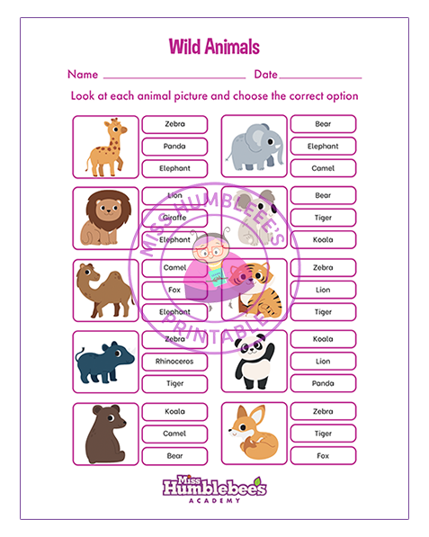 Matching Words to Animals 2