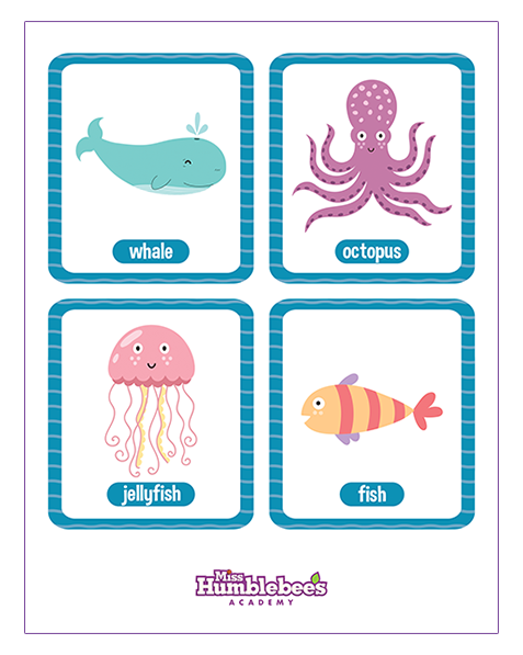 Sea Animals Flashcards - 1