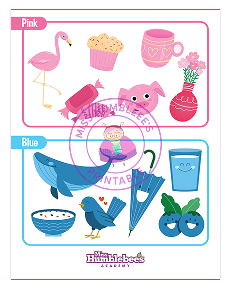 Set of Colors - Pink+Blue