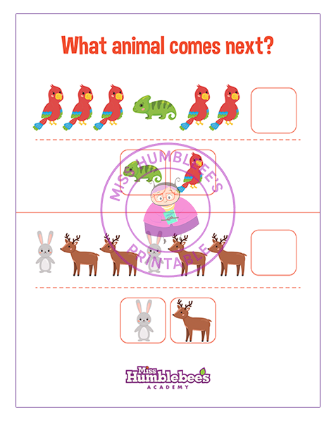 What animal comes next 2