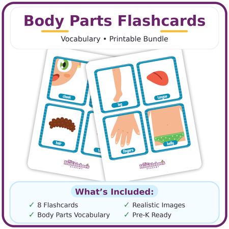 Bundle - Body Parts Flashcards