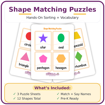 Shape Matching Puzzles