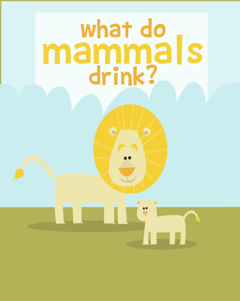 What Do Mammals Drink?