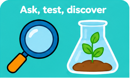 Ask, test, discover